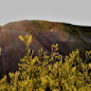 Meet your Posher, Alisha